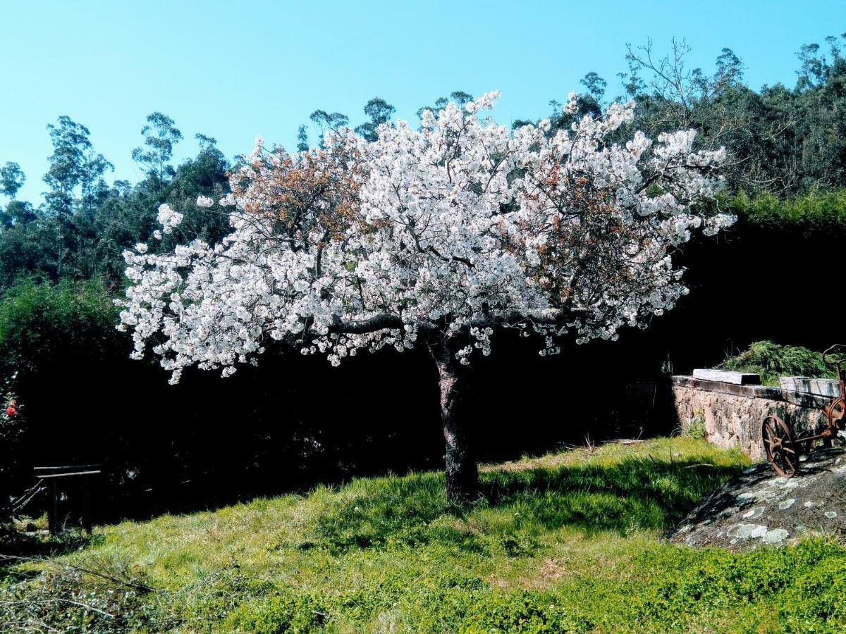 쿨리레도 Casa Os Curras 빌라 외부 사진